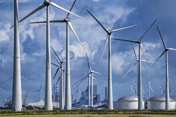 Wind farms Westereems and Growind, in the north of the Netherlands, near Eemshaven, energy centre, in addition to wind energy there are coal and gas-fired power plants and various energy infrastructure facilities, Netherlands