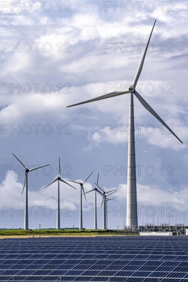 Vopak Solarpark Eemshaven, 19 hectares of solar modules with a capacity of 25 megawatts, around the Vopak tank terminal in the industrial harbour of Eemshaven, wind farm, Netherlands