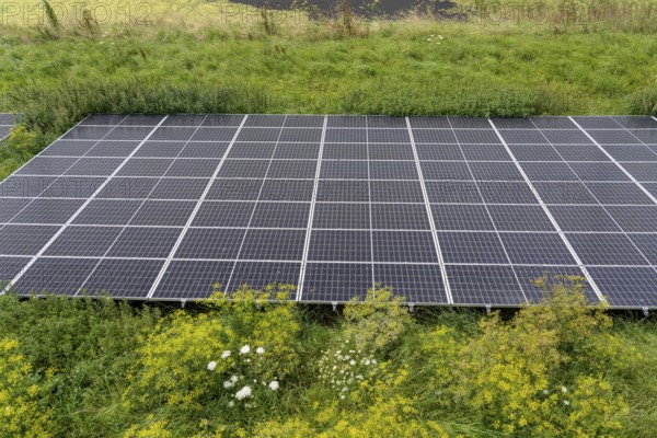 Solar park on the Slaperdijk dyke near Eemshaven, test project, 17, 000 solar modules were installed over a good 5 kilometres, the Netherlands has over 22, 000 kilometres of dyke line, here it is being tested whether such an installation is successful and can be expanded, wind farm, Netherlands