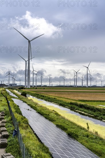 Solar park on the Slaperdijk dyke near Eemshaven, test project, 17, 000 solar modules were installed over a good 5 kilometres, the Netherlands has over 22, 000 kilometres of dyke line, here it is being tested whether such an installation is successful and can be expanded, wind farm, Netherlands