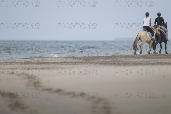 Two riders on the beach, near Hvide Sande, North Sea, Denmark