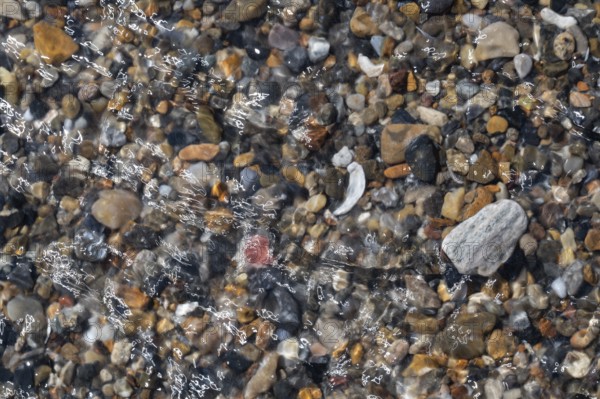 Colourful, smooth pebbles under a clear water surface, North Sea, Denmark