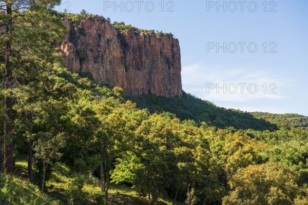 Gorge with red rocks, Gorges du Blavet, Bagnols-en-Forêt, near Saint-Raphaël, Massif de l'Esterel, Esterel Mountains, Département Var, Cote d'Azur, Provence-Alpes-Côte d'Azur, France