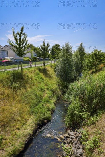 Recklinghausen, North Rhine-Westphalia, Germany - Renaturalised Hellbach, renaturalised watercourse, the Hellbach is now free of wastewater after the construction of a parallel sewer, is part of the Emscher river system and thus part of the Emscher conversion, was previously an open, above-ground wastewater channel, mixed water channel with surface water and wastewater. The renaturalised Hellbach stream strengthens the city's climate resilience, promotes biodiversity and helps to mitigate urban warming caused by climate change