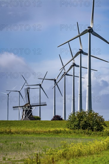 Westereems and Growind wind farms, over 80 wind turbines in total, at the Eemshaven seaport, province of Groningen, in the north-west of the Netherlands, historic Goliath windmill from 1897