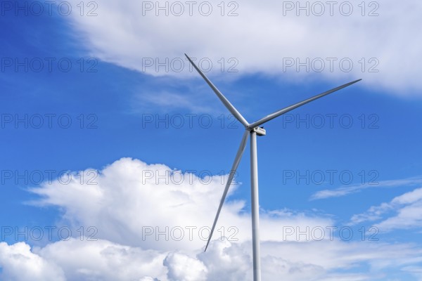 Strekdammen Wind Farm, wind farm at the seaport of Eemshaven in the Netherlands, built on offshore breakwaters, 2 GE Cypress 5, 5 MW turbines, with 158 metre blade diameter, together produce 11 MW of power, can supply 15, 500 households with electricity from wind, cumulus cloud over the North Sea, Netherlands