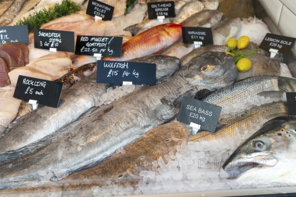 Fish on ice in fishmonger shop window, Newton Abbot, Devon, England, UK