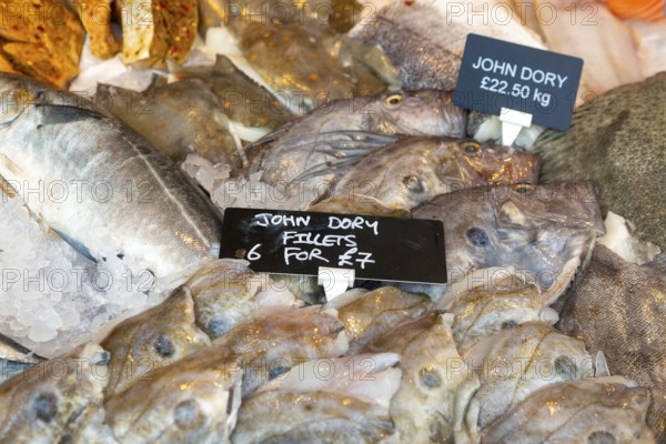 John Dory fish on ice in fishmonger shop window, Newton Abbot, Devon, England, UK