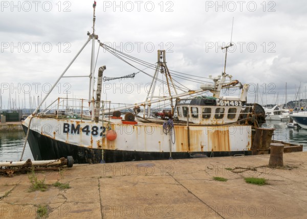 FV Mary Anne BM482 fishing vessel boat in harbour, Torquay, Devon, England, UK