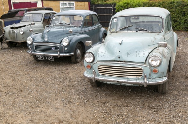 Morris Minor 1000 saloon cars late 1950s on display at auction, UK