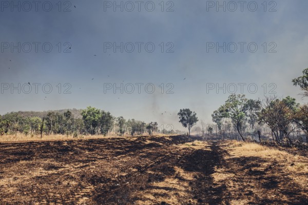 Bushfires in the Australian outback
