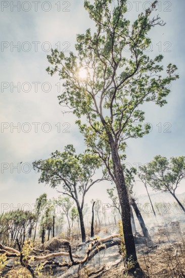 Bushfires in the Australian outback