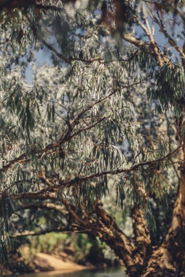 River and other waters in the outback in the north of Australia
