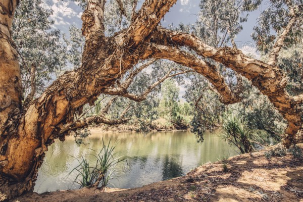 River and other waters in the outback in the north of Australia