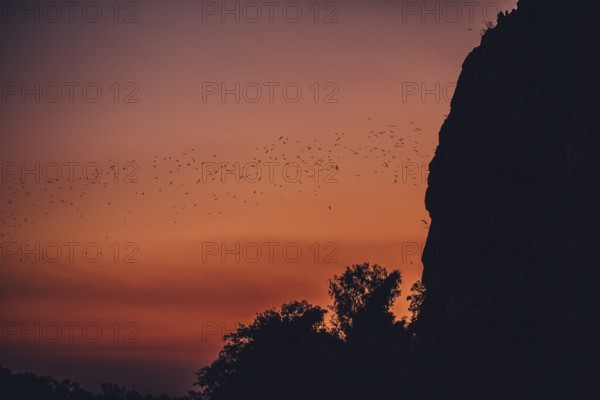 Special light atmosphere in the outback at Windjana Gorge National Park in Australia