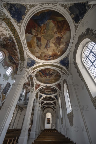 Side wing with dome paintings in St Martin's Church, Biberach an der Riß, Baden-Württemberg, Germany