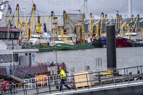 Fishing boats in Beatrixhaven, the seaport of Eemshaven, industrial harbour, at the quay, Netherlands