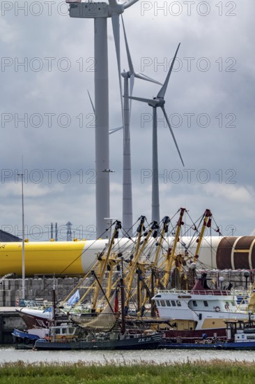 The seaport of Eemshaven, Julianahaven Basin, where the foundation structures, monopiles, for offshore wind farms are stored, which then support the actual wind turbines, the components are transported to the wind farms in the North Sea on large workboats and anchored to the seabed, where the wind turbines are then built, Eemshaven, Netherlands