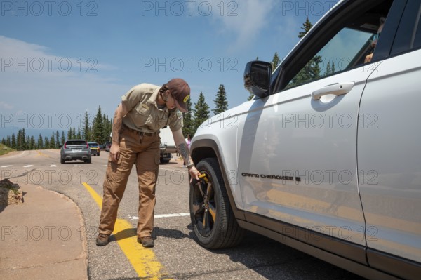Colorado Springs, Colorado - A Pikes Peak ranger checks the temperature of brakes on a car descending 14, 115' Pikes Peak. If the brakes have become hotter than 300 degrees F, travelers must stop to let the brakes cool before continuing their descent