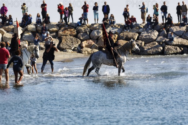 Guardians of the Camargue, traditional shepherds riding through water, rider on Camargue horse, pilgrimage, procession by the sea, Saintes-Maries-de-la-Mer, Camargue, France
