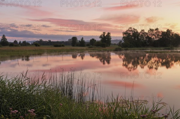 Morning atmosphere at a pond in the Schoren nature reserve, Mühlau, Freiamt, Canton Aargau, Switzerland
