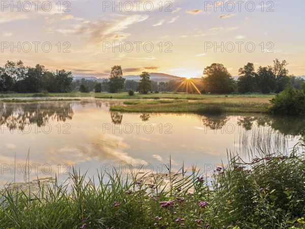 Sunrise at a pond in the Schoren nature reserve, Mühlau, Freiamt, Canton Aargau, Switzerland