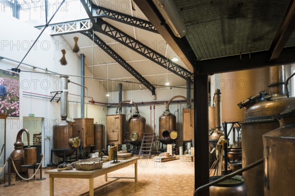 Interior view, Perfumery Molinard, Perfume manufacturer, Grasse, Alpes Maritimes, Provence Alpes Cote d'Azur, French Riviera, South of France, France