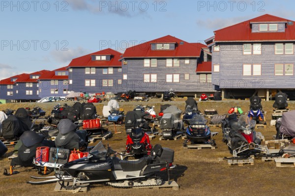 Sikdoos in front of coloured wooden houses, Longyearbyen, Spitsbergen, Svalbard