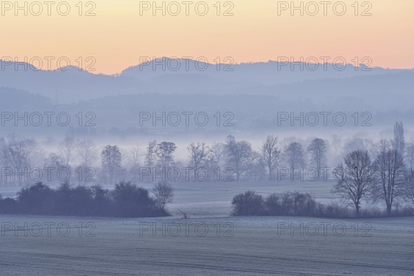 Meadows and trees in the early morning mist in the light of dawn, Reusstal, Aristau, Freiamt, Canton Aargau, Switzerland