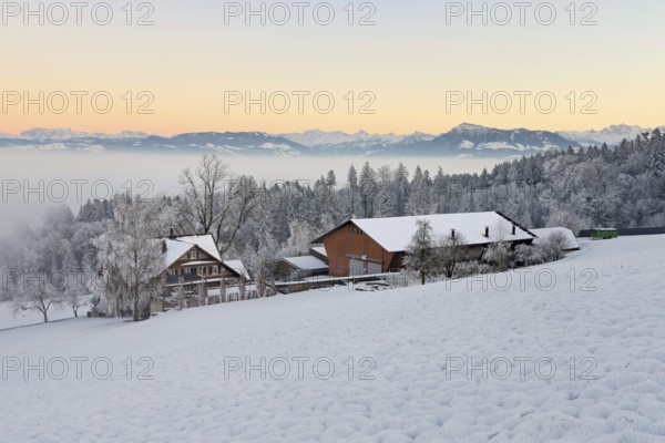 Farm in a freshly snow-covered landscape, behind the Alps with Rigi, Horben, Freiamt, Canton Aargau, Switzerland