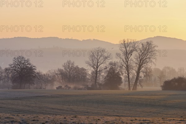 Meadows and trees in the early morning mist in the light of the rising sun, Reusstal, Aristau, Freiamt, Canton Aargau, Switzerland