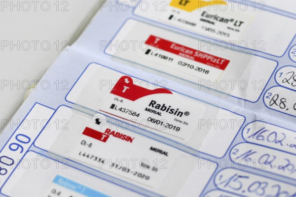 Germany - August 2nd 2025: Rabies vaccination proof with Rabisin sticker in European dog passport for pet travel within the EU