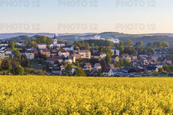 Village view with church and rape field in the morning, Grünhainichen, Erzgebirgskreis, Saxony, Germany