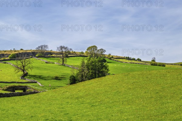 Farms in Lake District National Park, Cumbria, England, United Kingdom