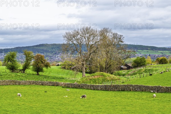 Farms, Pooley Bridge, Ullswater Lake, Lake District National Park, Cumbria, England, United Kingdom