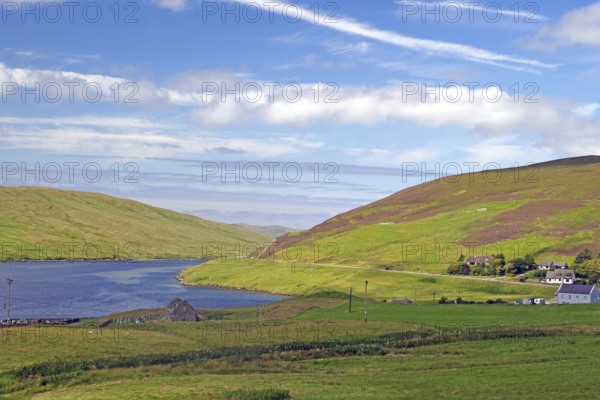 Green hilly landscape with a river and scattered houses under a blue, slightly cloudy sky, Voe, Mainland, Shetland Islands, Scotland, United Kingdom