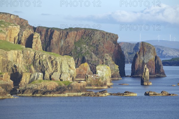 Coastal landscape with high cliffs lined with rocks and wind turbines in the background, Hillswick, Eshaness, Shetland Islands, Scotland, United Kingdom