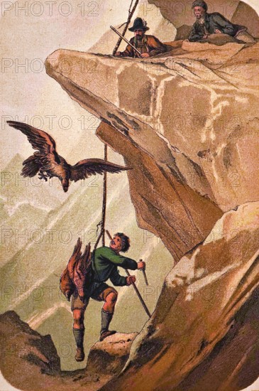 Nest robber at the eagle's nest in a rocky mountain landscape, young robber with knife, rope secured, hunter with rifle, bird of prey, flying eagle, coloured drawing, historical illustration 1877