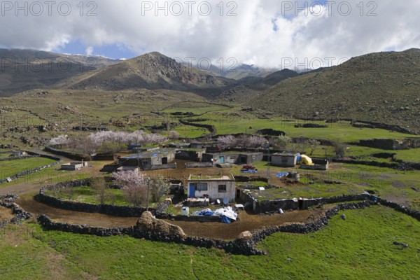 Small village amidst green hills and blossoming trees under a cloudy sky, village at the foot of the great Ararat, Büyük Agri Dagi, Cevirme, Çevirme, Dogubayazit, Dogubayazit, Dogubeyazit, Agri Province, Agri, Eastern Anatolia, Anatolia, Turkey