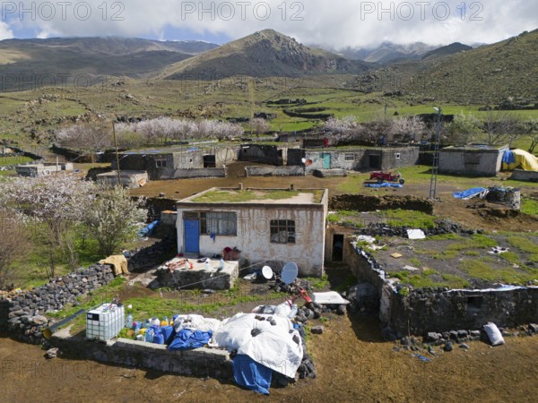 Rural village with simple houses and lots of greenery in mountainous terrain under a cloudy sky, village at the foot of the great Ararat, Büyük Agri Dagi, Cevirme, Çevirme, Dogubayazit, Dogubayazit, Dogubeyazit, Agri Province, Agri, Eastern Anatolia, Anatolia, Turkey