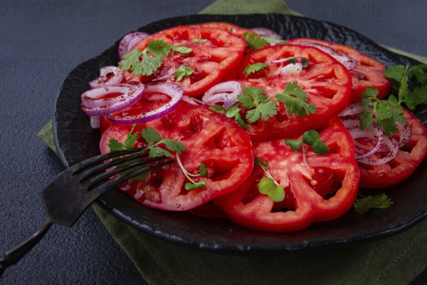 Freshly sliced tomatoes and red onions, garnished with herbs, on a black plate, summer salad, no people