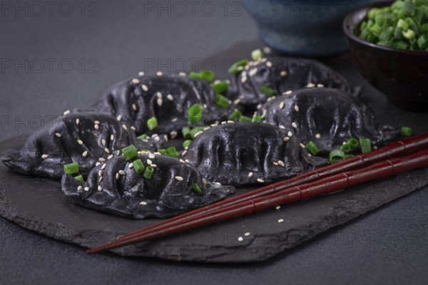 Japanese gyoza dumplings, made of black dough, black gyoza, with green onions and sauce, on a plate, close-up