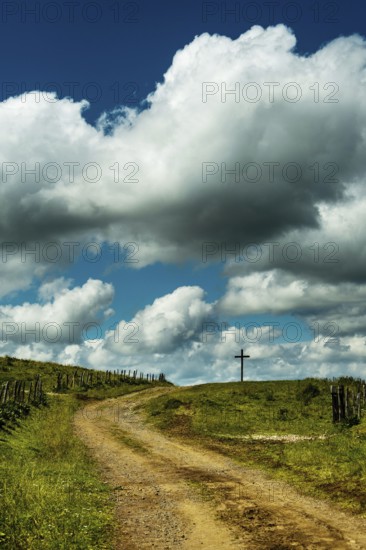 A winding dirt road leads the eye to a solitary cross. Cézallier, Auvergne Volcanoes Regional Natural Park, Puy-de-Dôme, Auvergne Rhone Alpes, France