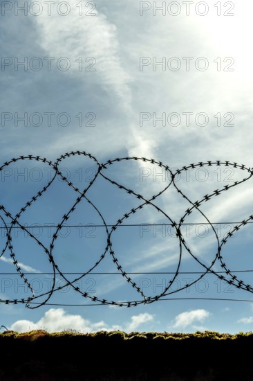 A barbed wire fence stretches across the foreground, silhouetted against a clear blue sky with white clouds. The landscape beyond remains out of sight, suggesting a boundary or restriction