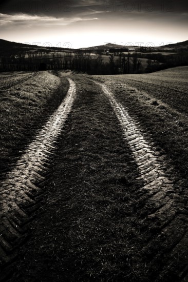 Tire tracks cut through a dark, rural field, leading toward rolling hills under a moody sky at dusk. Puy de dome. Auvergne, France