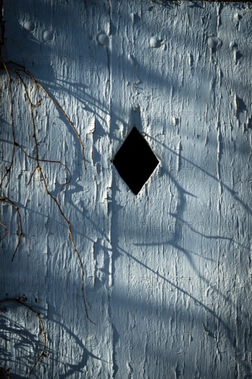 A blue wall exhibits a diamond-shaped opening, surrounded by shadowy vines and textured surfaces. The light casts intricate patterns, creating a serene atmosphere in the late afternoon