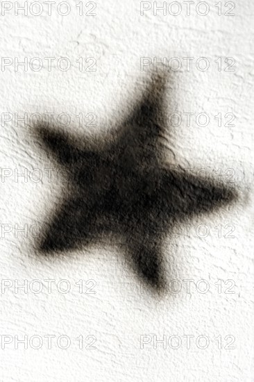 A dark star-shaped shadow is visible on a light-textured wall, creating a striking contrast that draws attention. The design showcases unique patterns and shapes