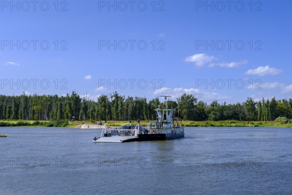 Yaw rope ferry, car ferry across the Elbe near Havelberg, Werben, Saxony-Anhalt, Germany