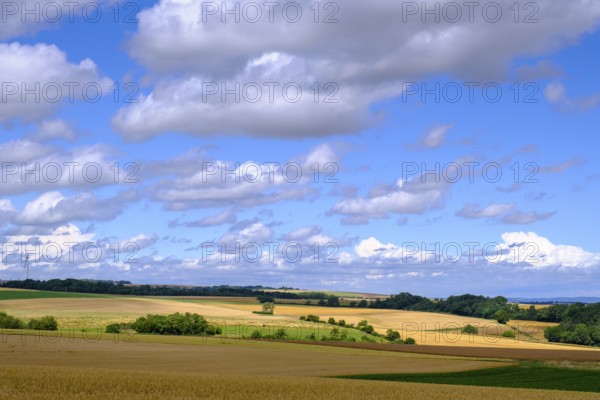 Cornfields, near Elz Castle, Rhineland-Palatinate, Germany