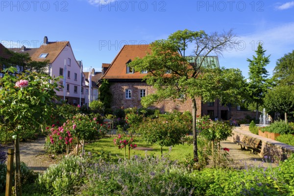 Rosengarten and Roman Museum Obernburg, am Main, Lower Franconia, Franconia, Germany